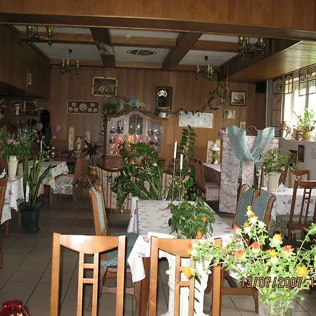 Dedal Hostel *