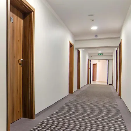 Hostel Dedal *